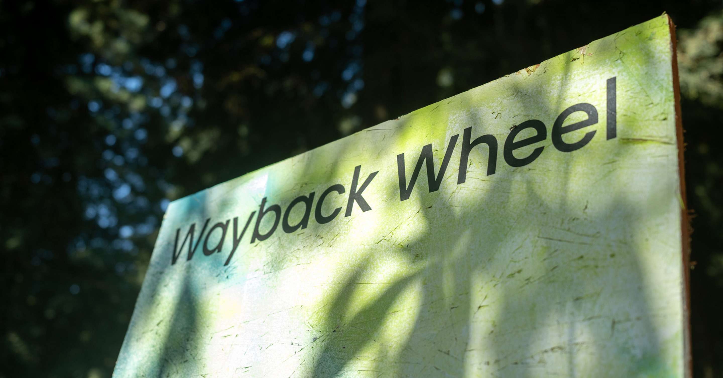 whayback-wheel-DWebCamp2022-ID-nezhynska3