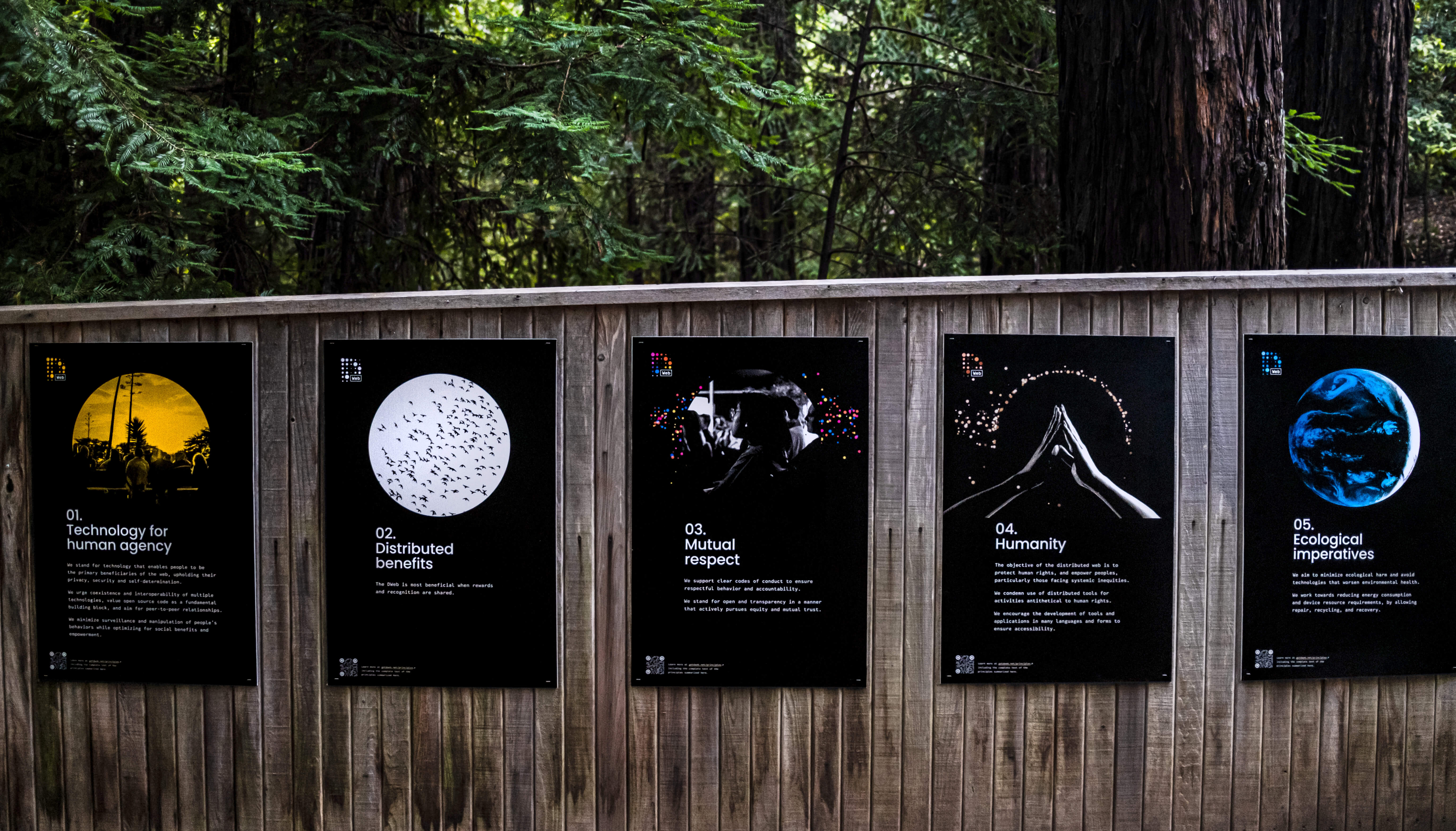 DWeb-Nezhynska-Principles-camp-01