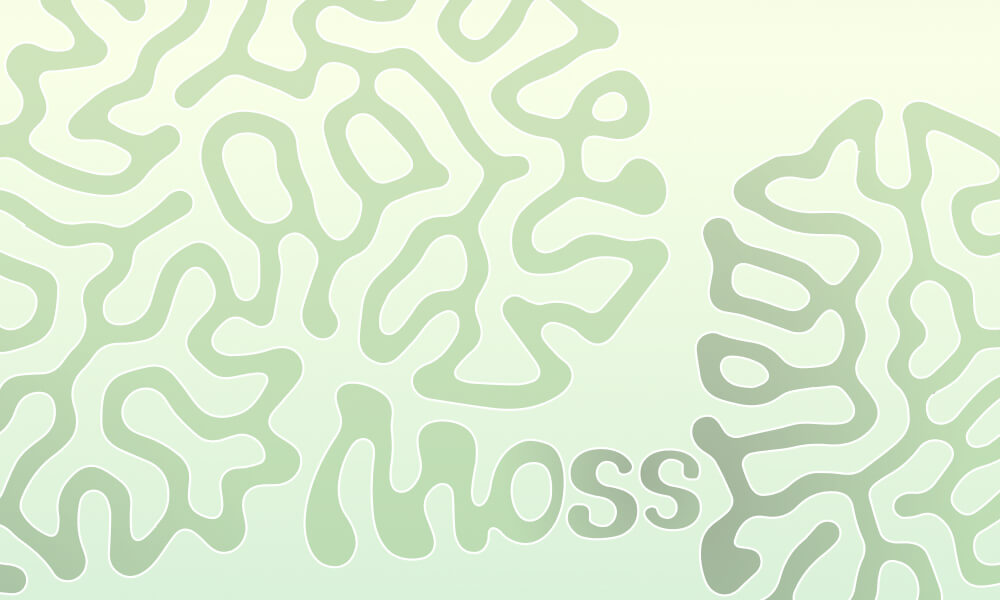 moss-holochain-nezhynska-branding-ui-design-4